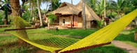 Tour Packages from Kochi
